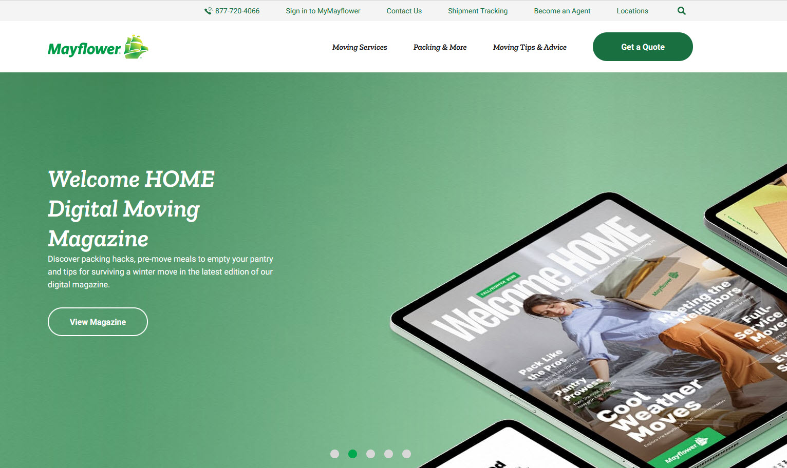 Window Replacement Websites